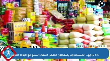 5% تراجع.. المستوردون يضغطون لخفض أسعار السلع مع هبوط الدولار